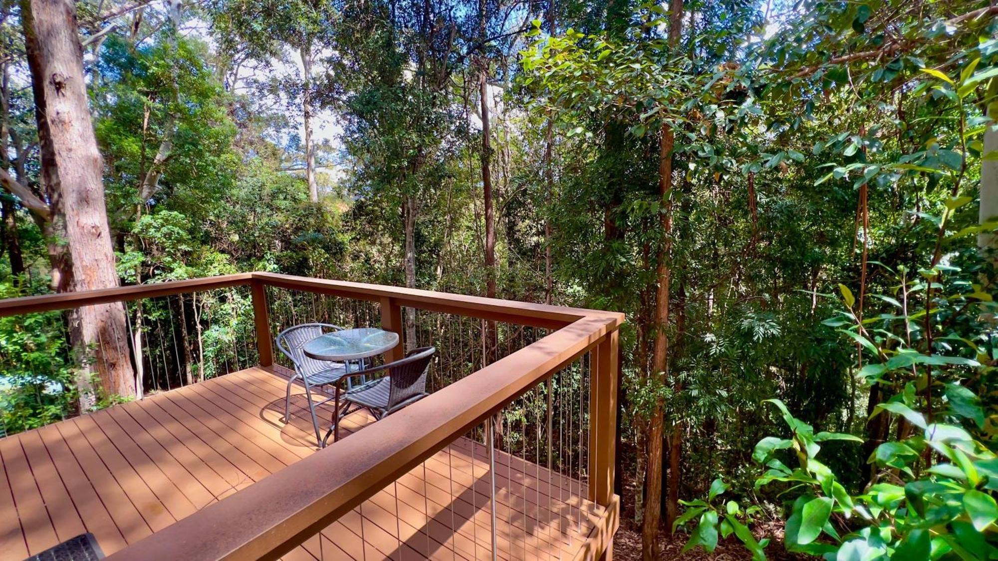 Kondalilla Eco Resort Montville Exteriör bild