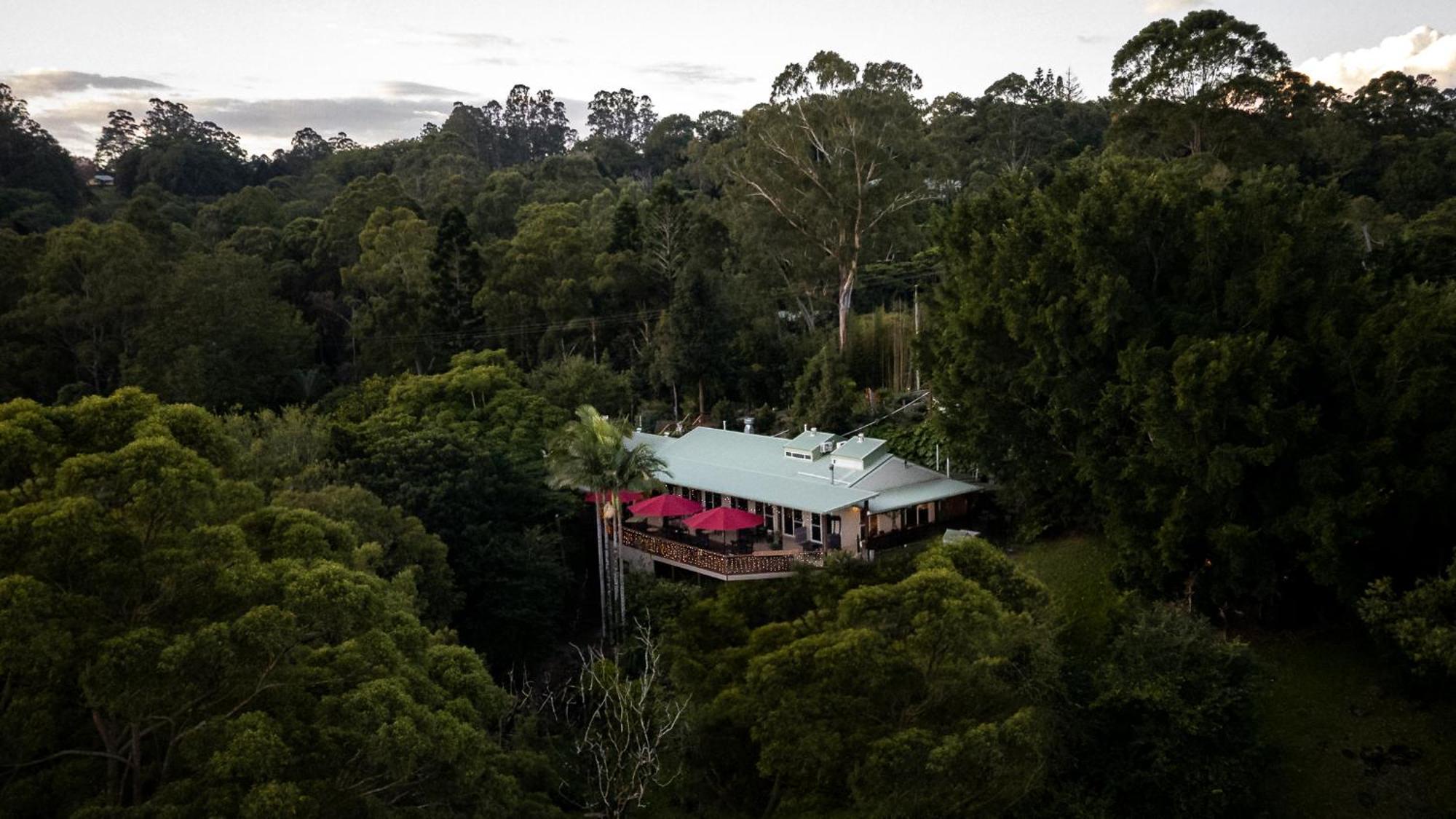 Kondalilla Eco Resort Montville Exteriör bild