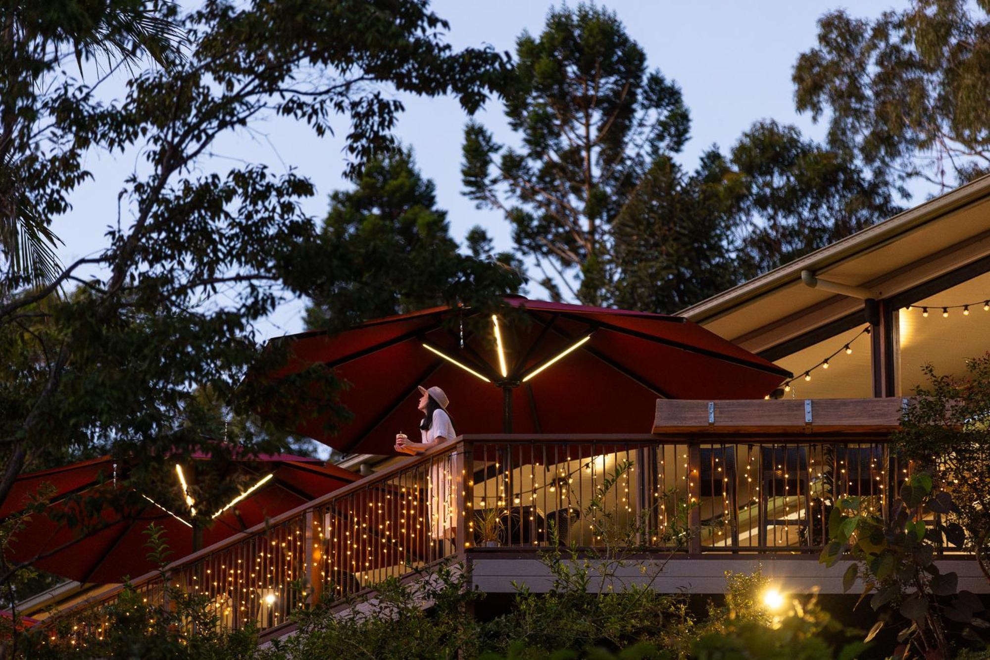 Kondalilla Eco Resort Montville Exteriör bild
